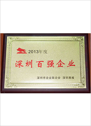 榮獲2013年度深圳百強企業(yè)